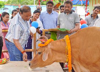 Animal Welfare